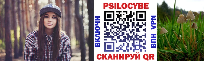 Псилоцибиновые грибы GOLDEN TEACHER  Купить где  Лобня 